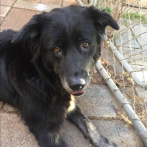 Meet your Posher, Cathy